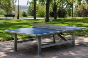 Mesas ping pong cerca de mi: dónde encontrar opciones en tu zona